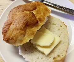 Gluten Free Italian Bread Rolls 